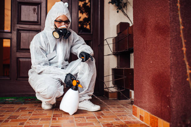 Reliable Bed Bug Control contractor in Mitchellville, MD by Nex Pest Control